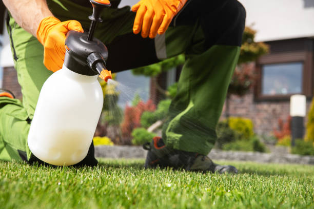 Best Rat Extermination Near Me  in Lockland, OH
