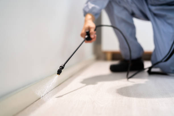Professional Pest Control in Lockland, OH