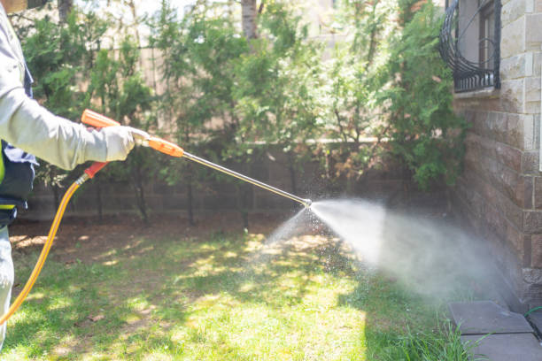 Best Local Pest Control Services  in Lockland, OH