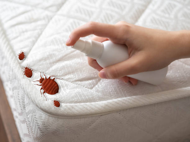 Best Exterminator Services  in Lockland, OH