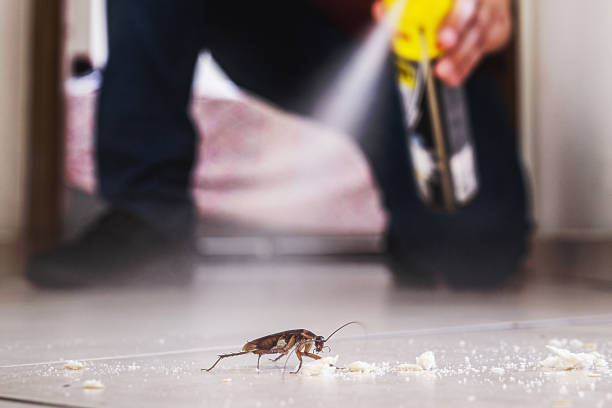 Pest Control for Restaurants in Lockland, OH