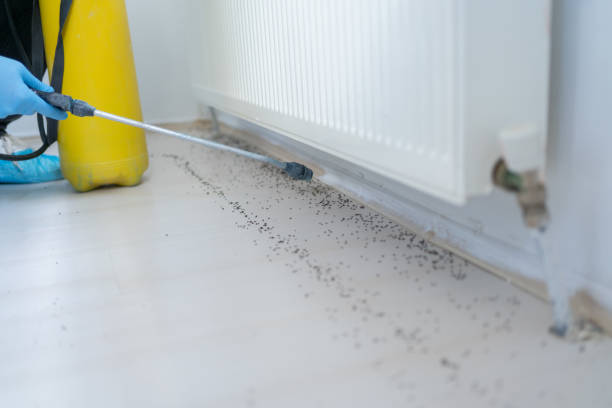 Best Residential Pest Control  in Lockland, OH