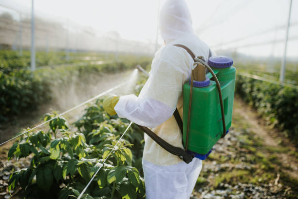 Best Commercial Pest Control Services  in Lockland, OH